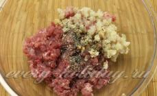 Fleisch-Zrazy mit Zwiebeln und Champignons in Sauerrahm-Zwiebelsauce