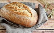 Sourdough for bread 