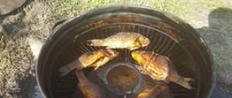 How to smoke fish in a hot smoker so that it is juicy?