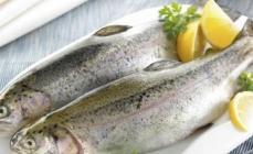 Trout recipes fast and tasty