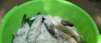 So salzen und marinieren Sie schnell Fisch zum Räuchern